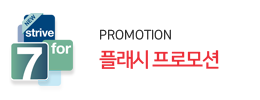 플래시프로모션
